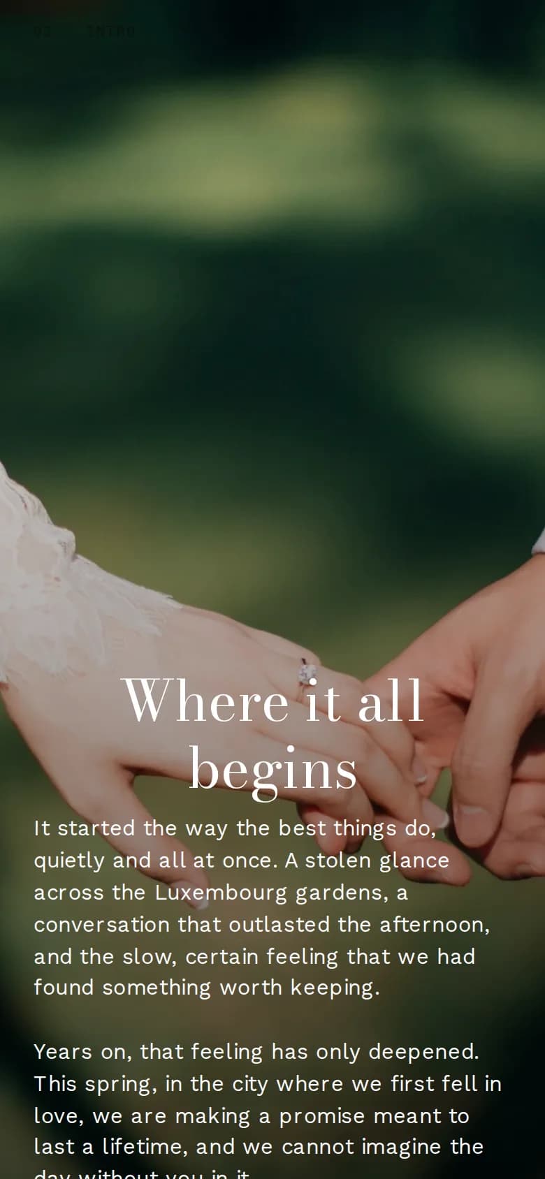 Welcome section of an example invitation on a phone
