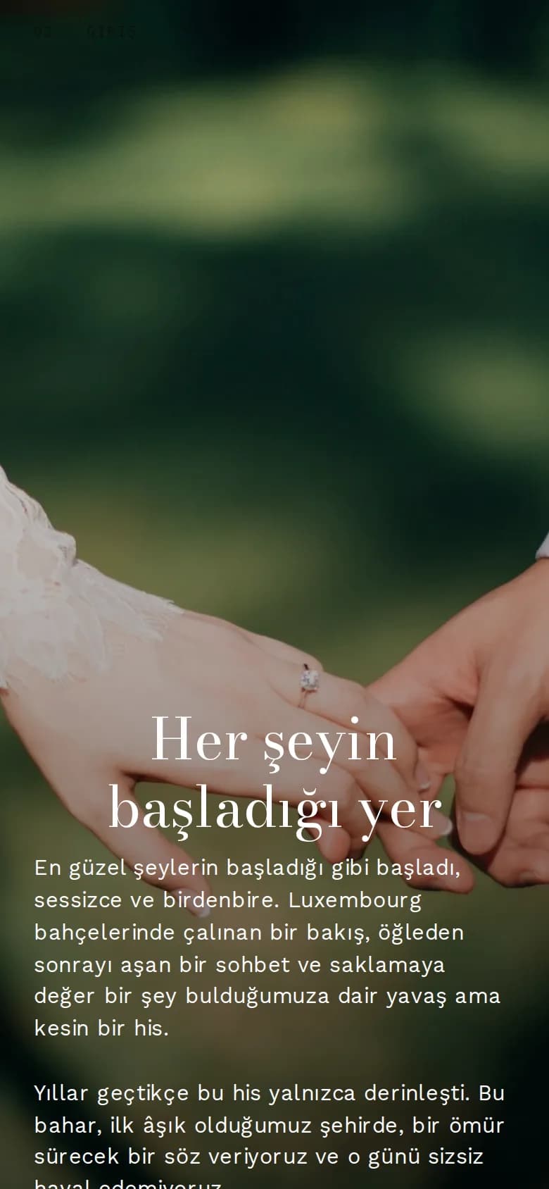 Telefonda bir örnek davetiyenin Giriş bölümü